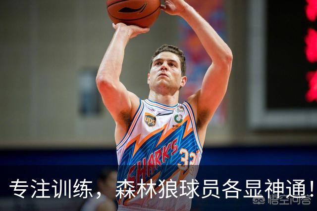 专注训练，森林狼球员各显神通！